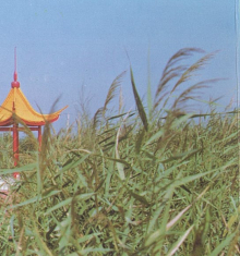 &#21326;&#20159;&#24179;&#21488;&#45;&#21326;&#20159;&#65288;&#20013;&#22269;&#65289;&#19968;&#31449;&#24335;&#26381;&#21153;&#24179;&#21488;